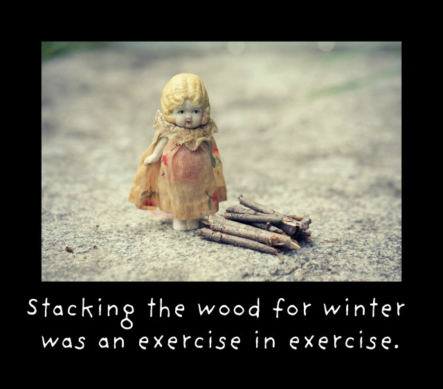 Claudia and the woodpile exercising