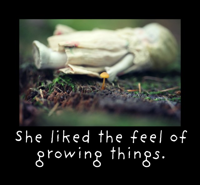 claudia mushroom sept 2013 framed 2 copy