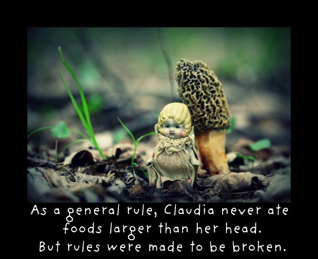 morel claudia mushroom