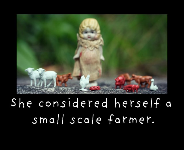 Small Scale.