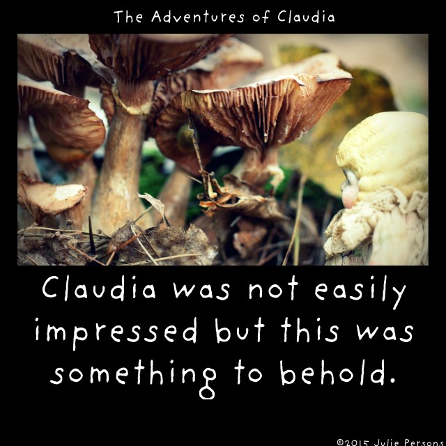 Claudia was not easily impressed but this was something to behold instagram