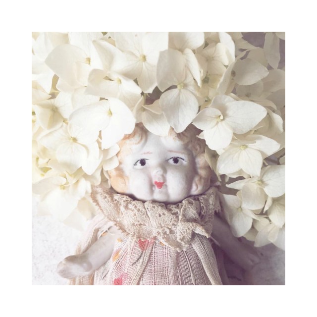 claudia hydrangea framed