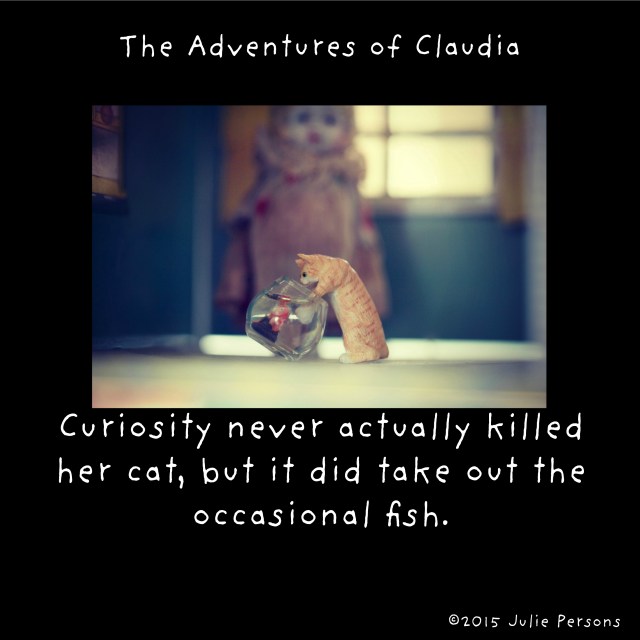 curiosity cat fish instagram