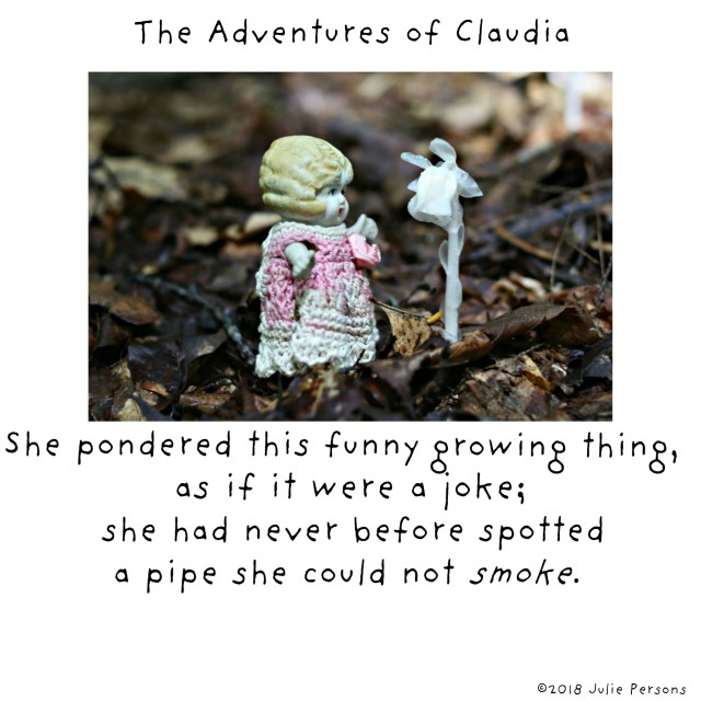 Claudia indian pipe 2018 white square instagram crop TEXT